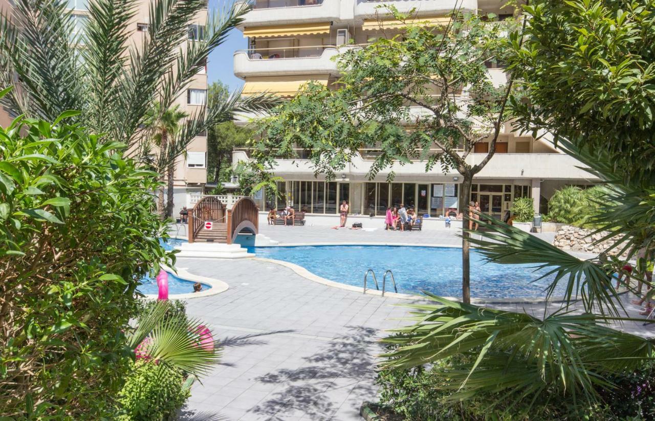 Arquus Little Hawaii Appartement